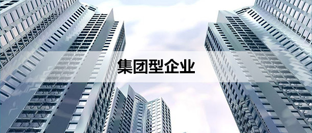 集团型企业